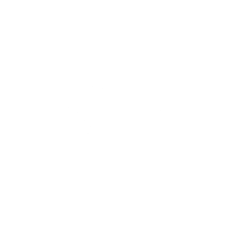 Logo-plurale-bianco-2048x2048-1.png